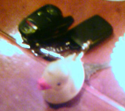 Duck1